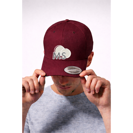 Premium Baseball Cap MSAASEE! (Stick)